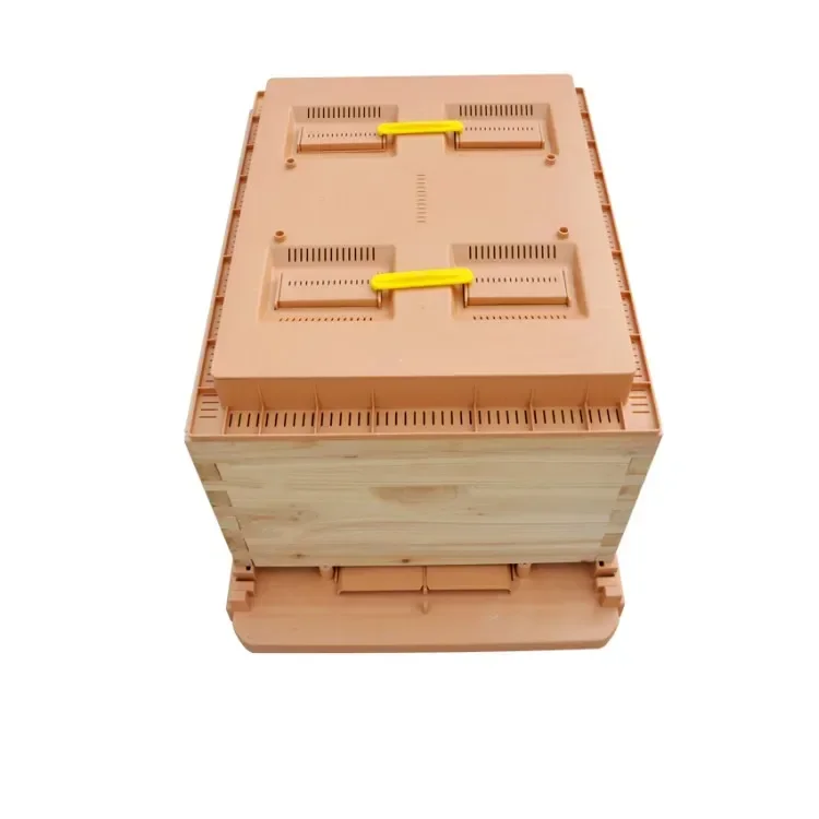 Safe And Reliable Quality Professional CE Approved Automatic Transparent Beehive