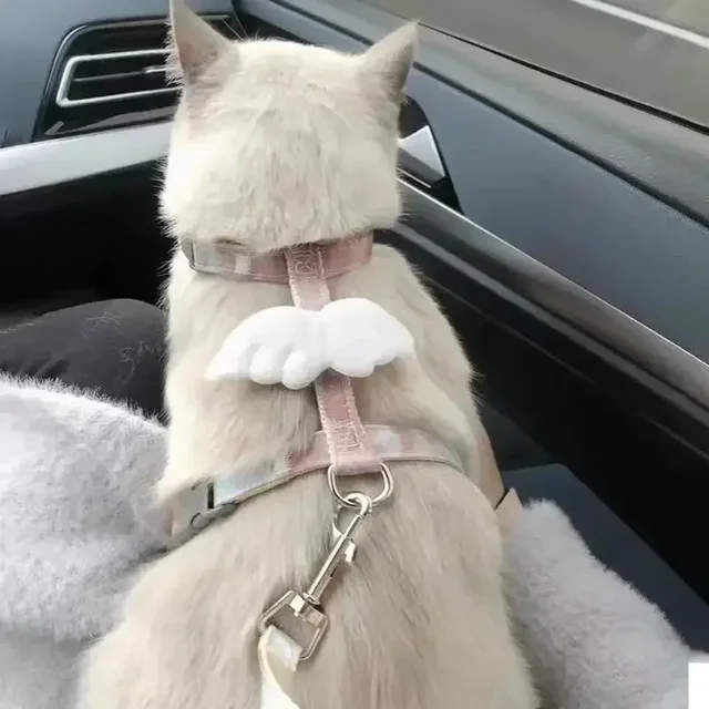 고양이 Cute Cartoon Cat Harness Walking Pet Harnesses and Leash Set for Cats Gatos Kitten Garfield mascotas Akcesoria Akcesoria