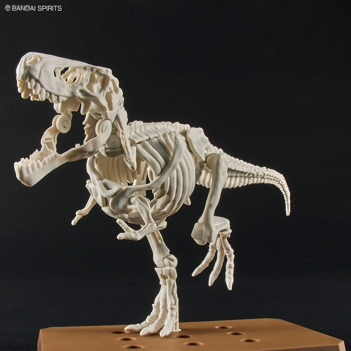 Bandai เดิมประกอบที่ครอบคลุมรุ่น Series Plannosaurus Tyrannosaurus Rex เล็งที่ของเล่นเด็กสะสมเครื่องประดับ