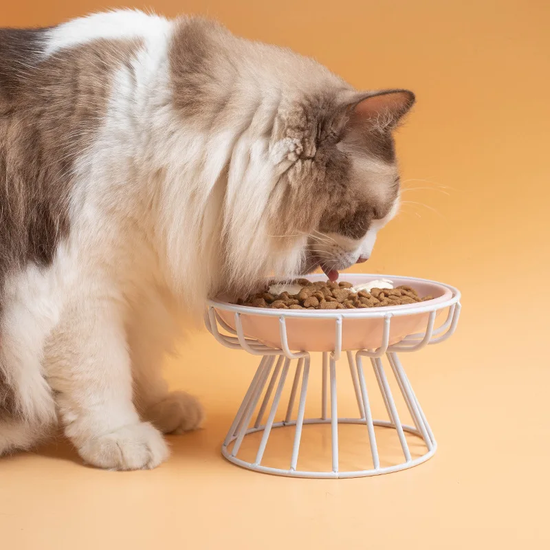 Thumbnail 3 - #25 Latest Pet Bowl Stands Offers