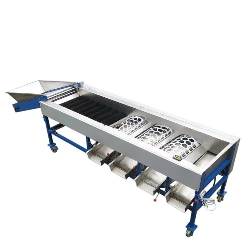 Sorting Grading Machine Cherry Tomato Grading Machine Fruits Sorting Grader Machine for Oval Fruits