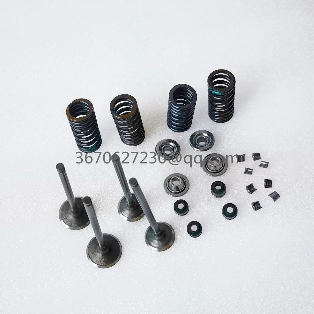 valves and spring kit for Daytona 190 or 212 4 valves engines