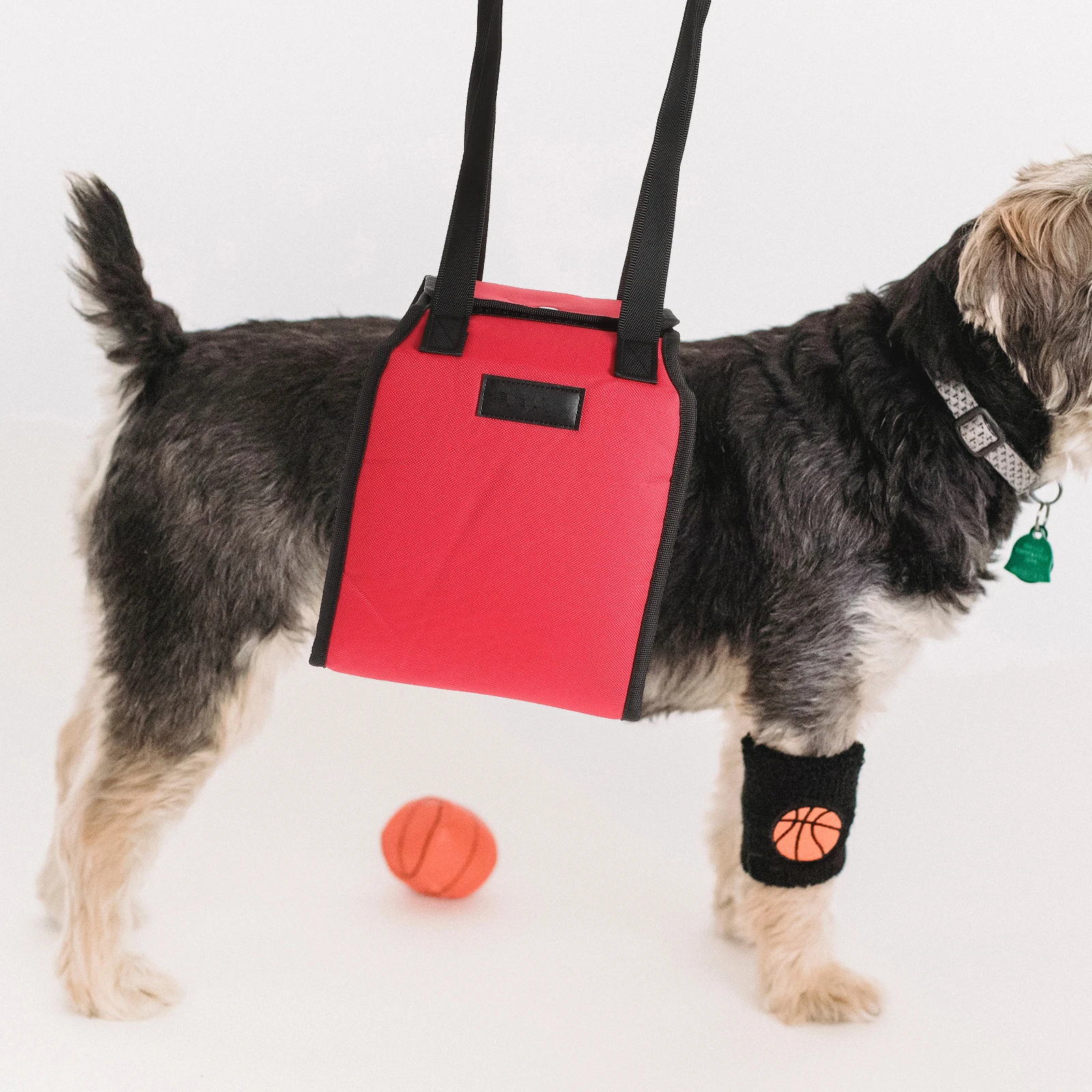 

Pet Auxiliary Belt Dog Assist Sling Rehabilitation Harness Lift Support Elderly