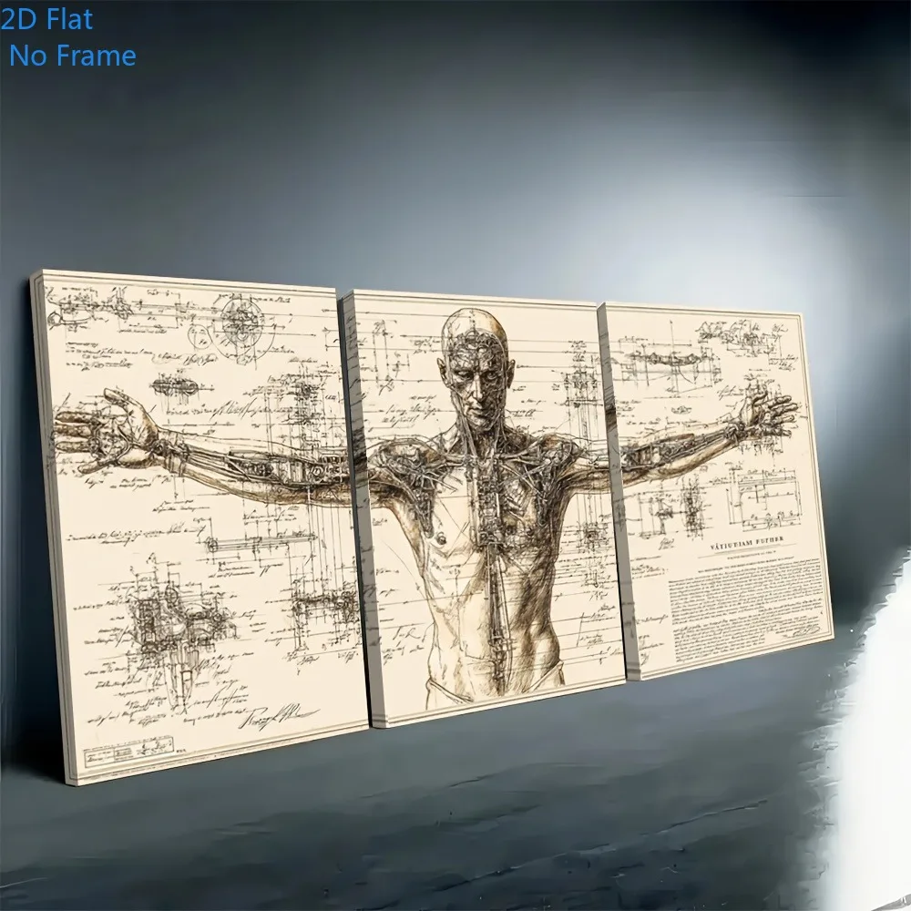 3 Pieces of Da Vinci Vitruvian Retro Anatomical Canvas Posters, Suitable for Office Decoration 2D Flat Printing Frameless Painti