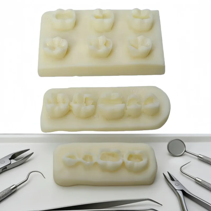 

Набор из 3 моделей для практики в стоматологии: учебные модели из смолы для обучения, модели для пломбирования корневых каналов и инкрустаций