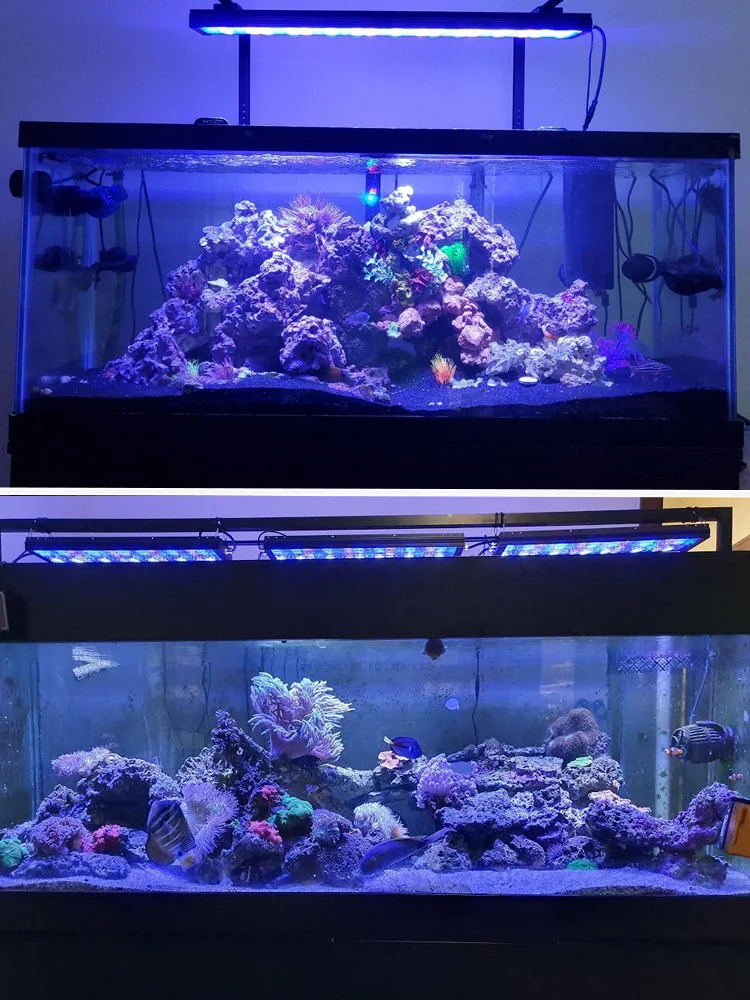 60cm PopBloom WiFi Meerwasser-Aquariumbeleuchtung, Vollspektrum LED-Aquariumlampe für 55-70cm Riff-Korallen SPS/LPS Fischaquarium