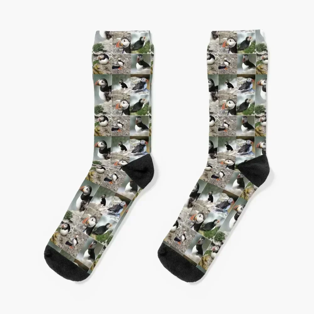 puffins Socks essential gift floor Men's Socks Luxury Women's
