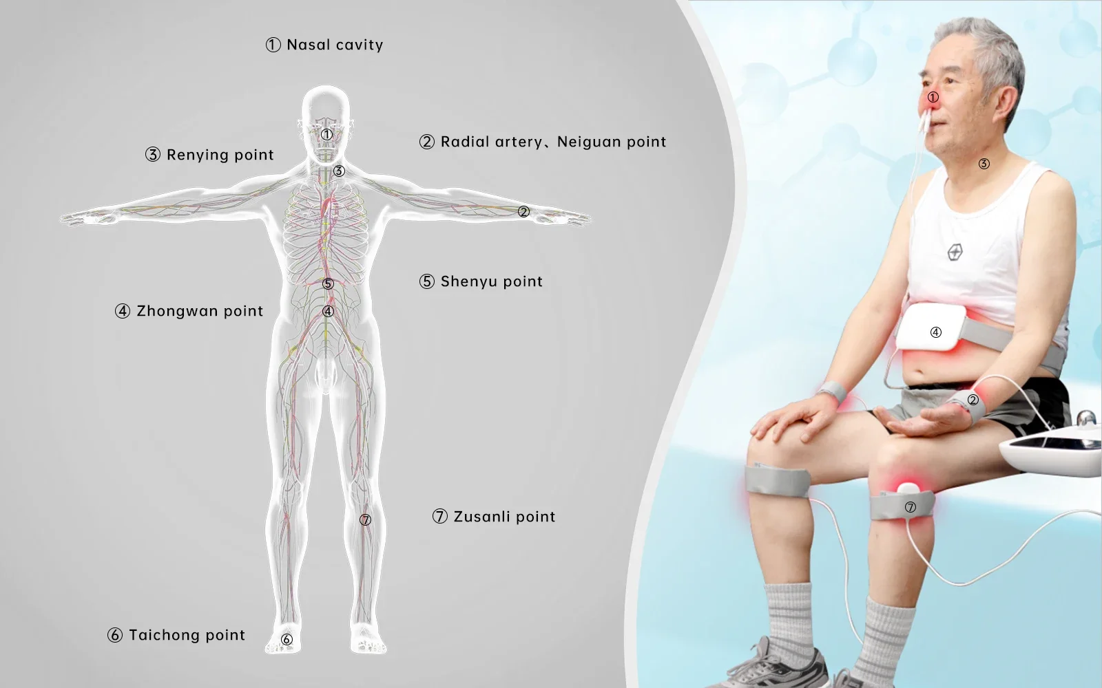 Cold Therapy Irradiation Rehabilitation Device, Healthcare Physiotherapy Equipment for Physical Recovery Processing