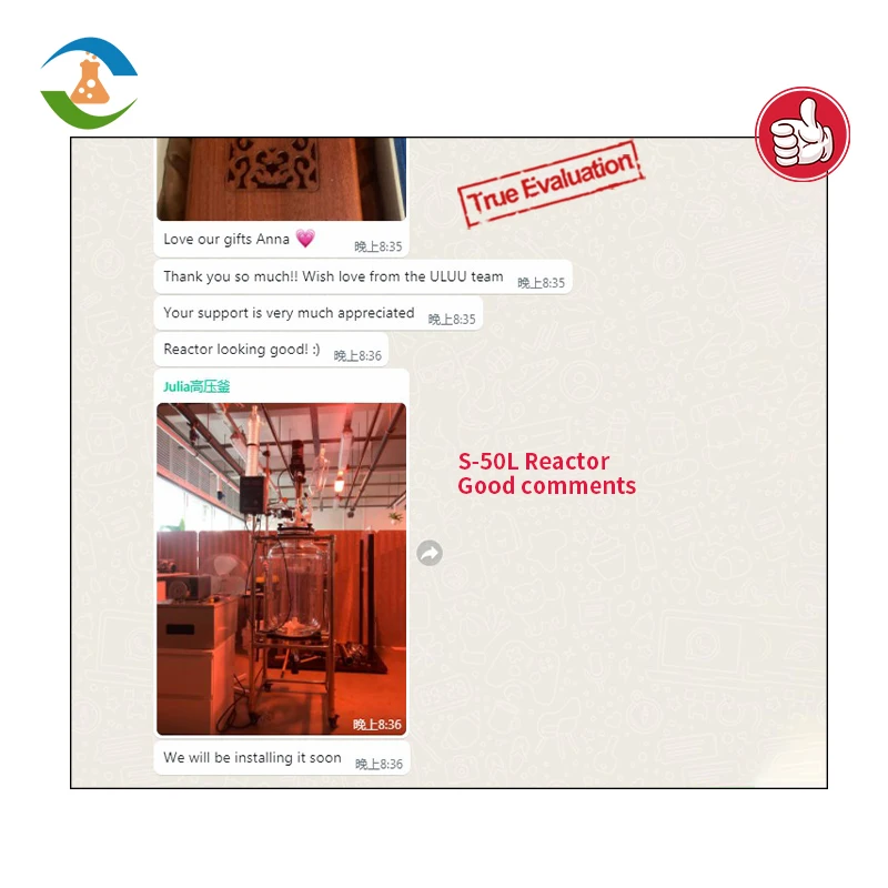 China Reactor Manufacturer 30L Jacketed Agitated Glass Reactor