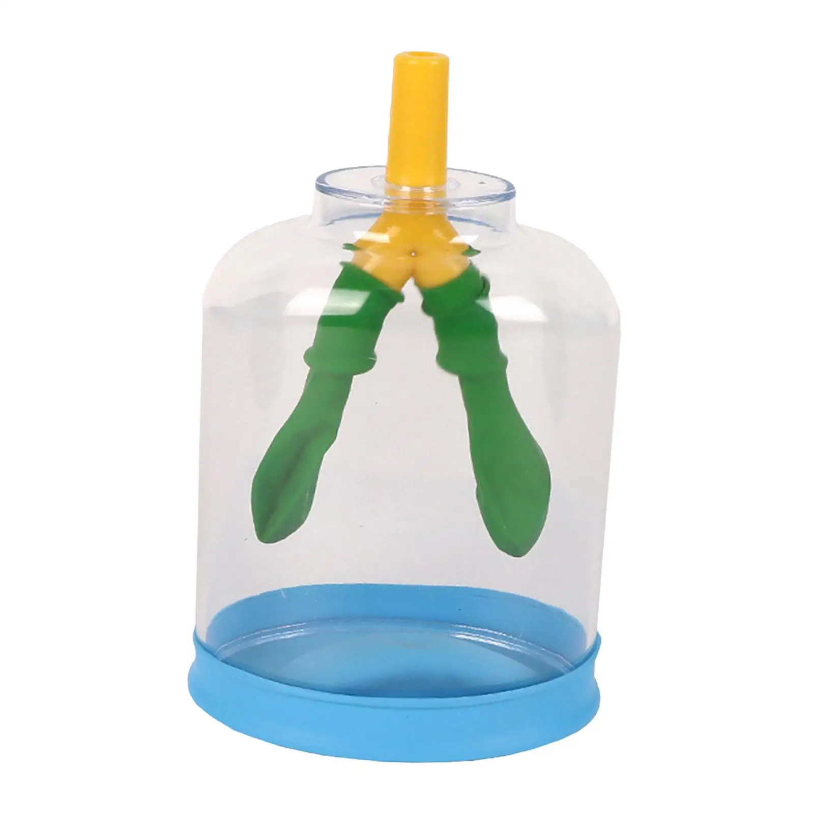 Lung Demonstration Model, Lung Breathing Model DIY Biology Teaching Props Classroom Experiment Project Tools