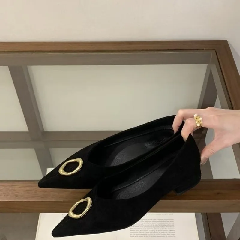 

French Pointed Toe Shallow Single Shoes 2026 Spring New Metal Buckle Block Heel Temperament Women's High Heels