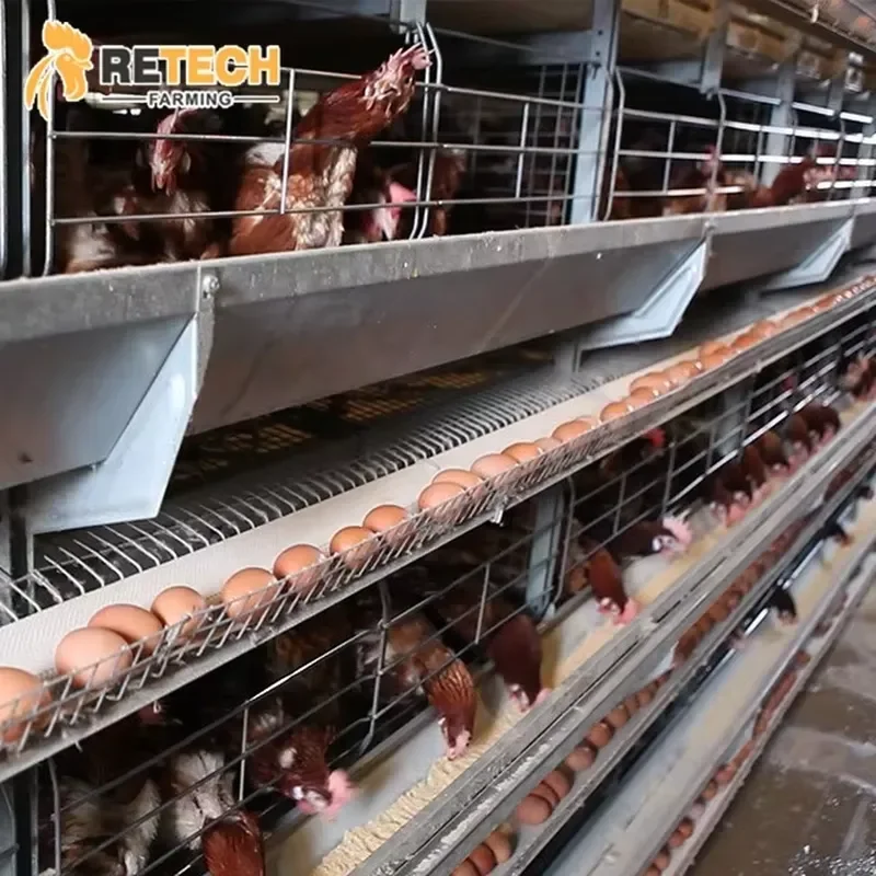 Automatic System Poultry House Egg Battery Laying H Frame Chicken Layer Cage for Farm Use