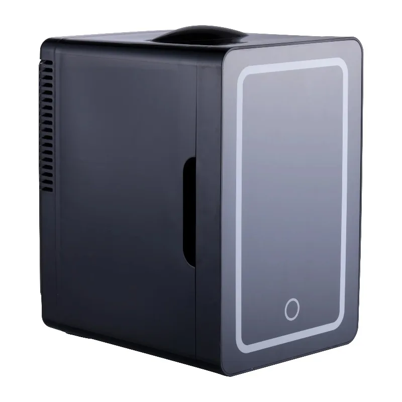 6L Mini Portable Refrigerator, Small Plastic Fridge for Home Dorm Student, Dual Use Cooler Box for Car and Household