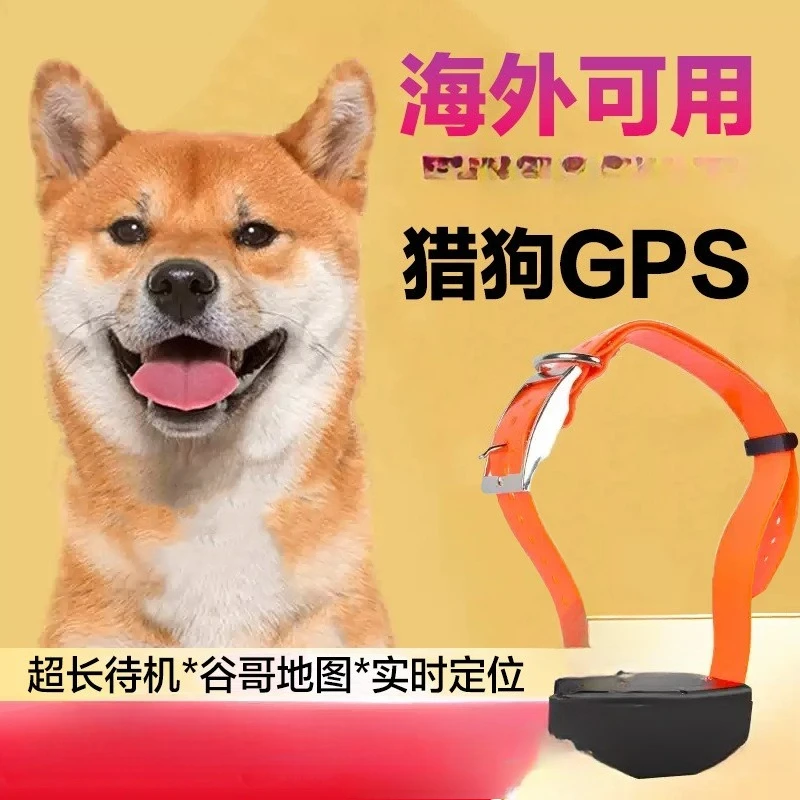 대형견 위치추적 및 분실방지 장치 해외 배치