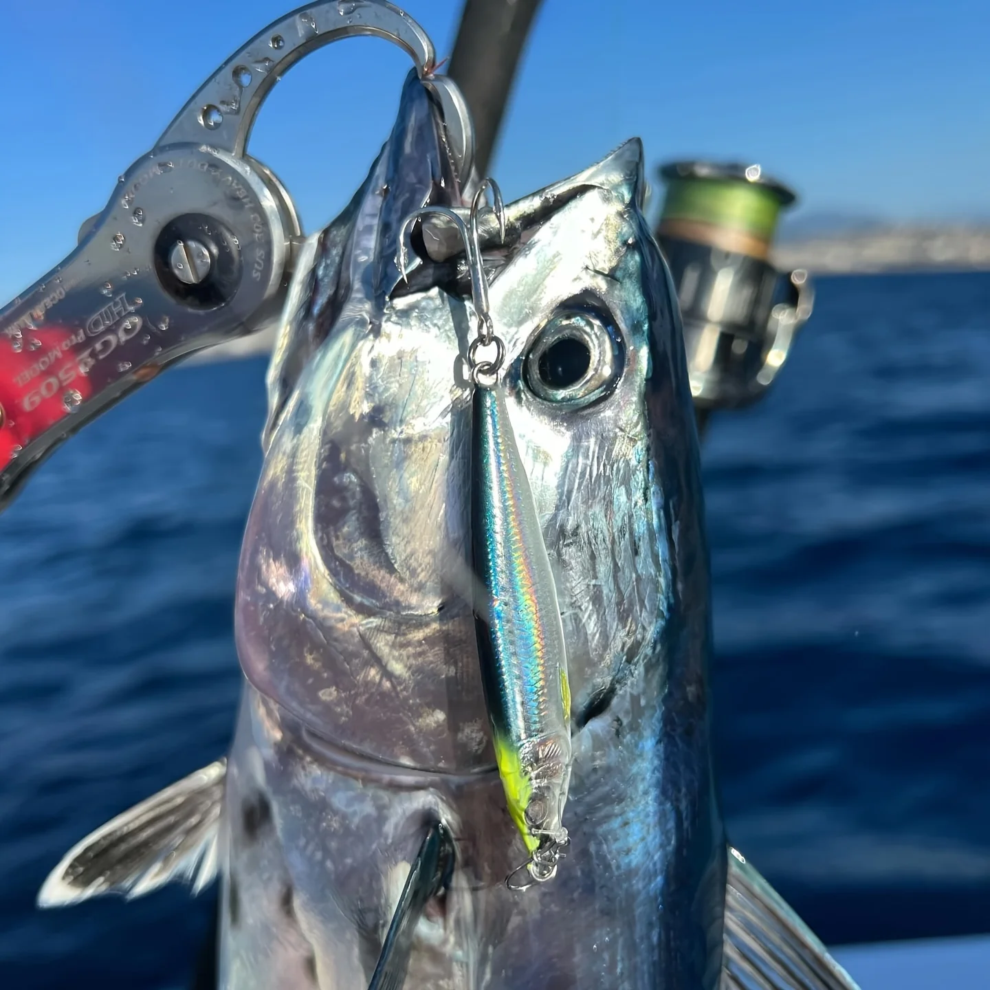 Slow-Pitch Jig for Long Casting: Features Double-Hook with Built-In Flash Blades. Ideal Lead Jig for Offshore and Boat Fishing.