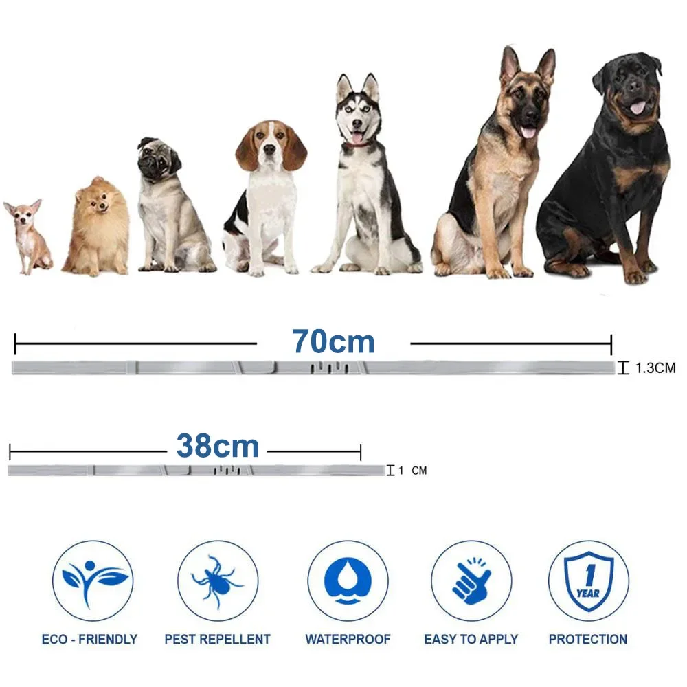 VIP Dropshipping Dog Collar Puppy Cat 70cm 38cm For Small Dogs Cats Collar  Pet Accessories Suppliers Wholesale