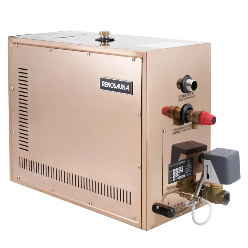 

21KW 380-415V 3 Phase Steam Generator With Auto-draining System Gas Powered Steam Generator for Spa