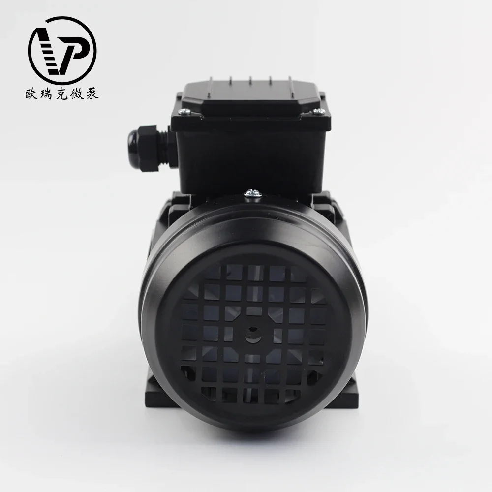 High Pressure 220v AC Magnetic Drive Gear Pump for Packing Machine Transfer High Temperature Mini Gear Pump