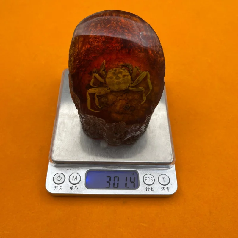 Amber animal specimen ornament resin craft crab specimen