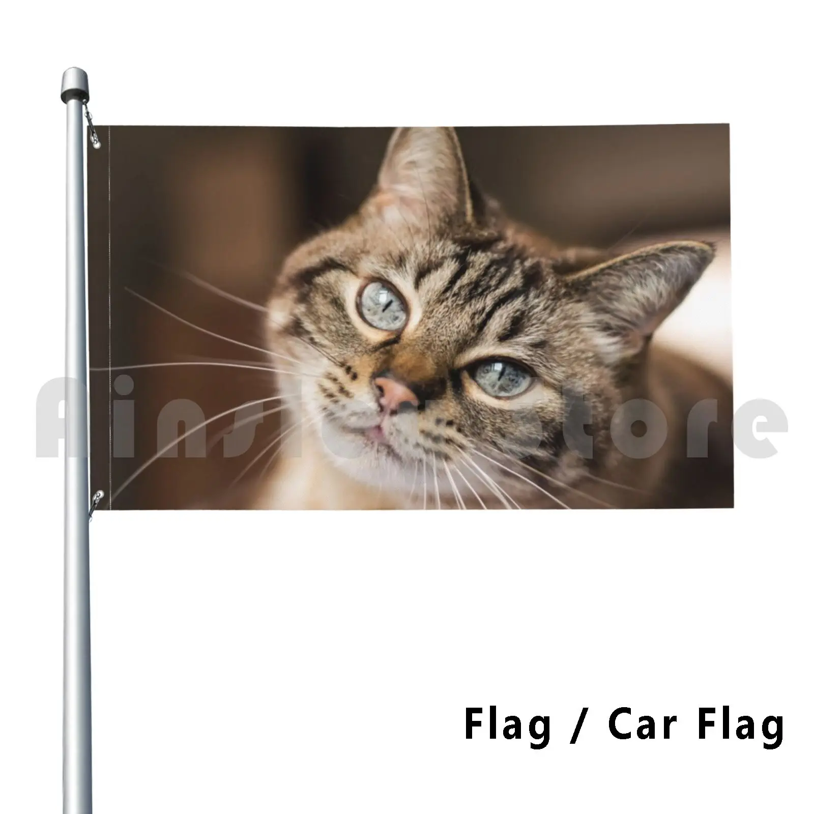 Two Eyes Outdoor Decor Flag Car Flag Cat Cats Cats Persian Domestic Wild Colorful Black White Yellow On A Tree