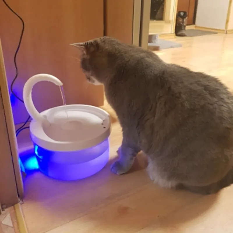 Cats Water Fountain With Faucet Cat Water Dispenser With/No LED Blue Light USB Powered Automatic Filter Cats Drinking Fountain