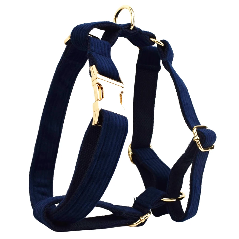 Set de collar y correa para perro en pana con placa grabada_voghion.com