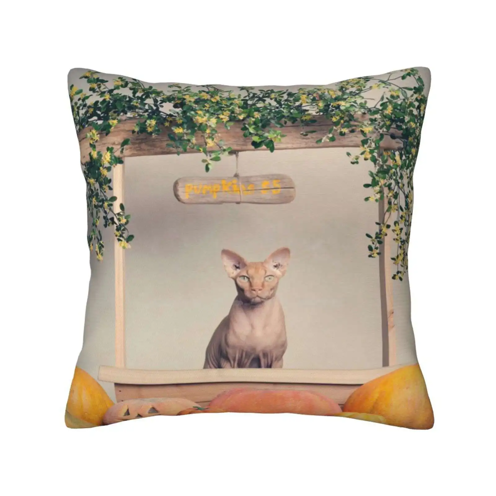 The Pumpkin Stop Funny Cute Decor Square Pillowcase Animals Sphynx Cats Pets Pet Photography Halloween Pumpkins Holidays