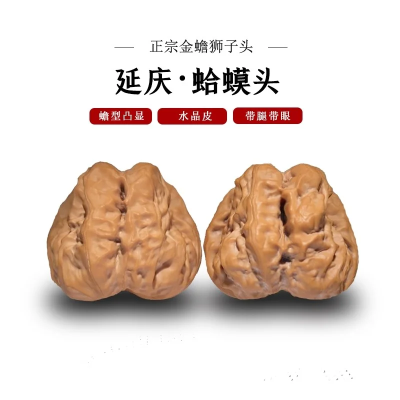 Eye-Opening Golden HeadsWalnuts Old Trees Back Stuffy Pointed Quagai Yanqing Lion's Genera