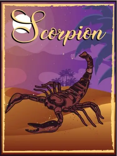 Metal plaque vintage, retro style Desert Scorpion Classic, tin, door sign tin sign