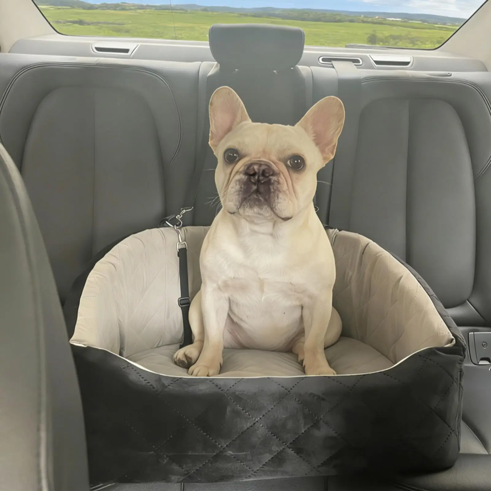 

Dog Seat For Car With Safety Belt Breathable Anti Slip Dog Booster Seat Car Bed For Small Medium Kitten Cat Animal SUV RV Pickup
