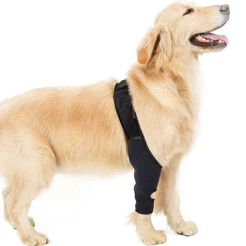 Dog balance fit joint slapbone protect