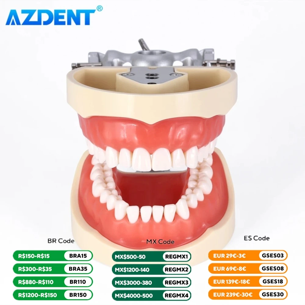 Model zębów dentystycznych 32 szt. Wyjmowane zęby AZDENT standardowe nauczanie Typodont Model demonstracyjny klinika stomatologiczna dentysty