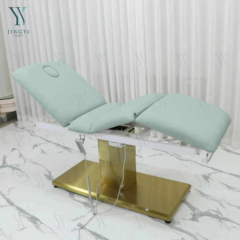Best Price High Quality Massage Bed Beauty Bed Treatment Table Spa Stretcher 3 Motors Reclinable Salon Bed