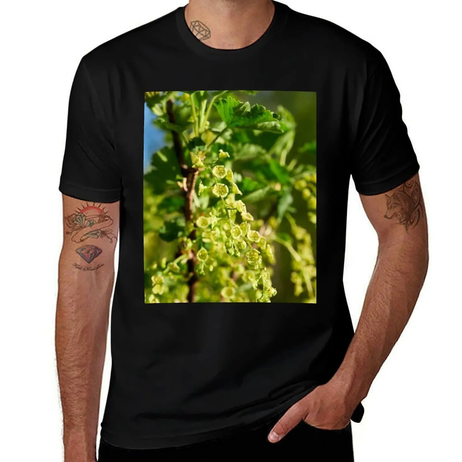 

Pearls to come. White currant T-Shirt custom t-shirts affliction shirts graphic t shirts t shirt for men