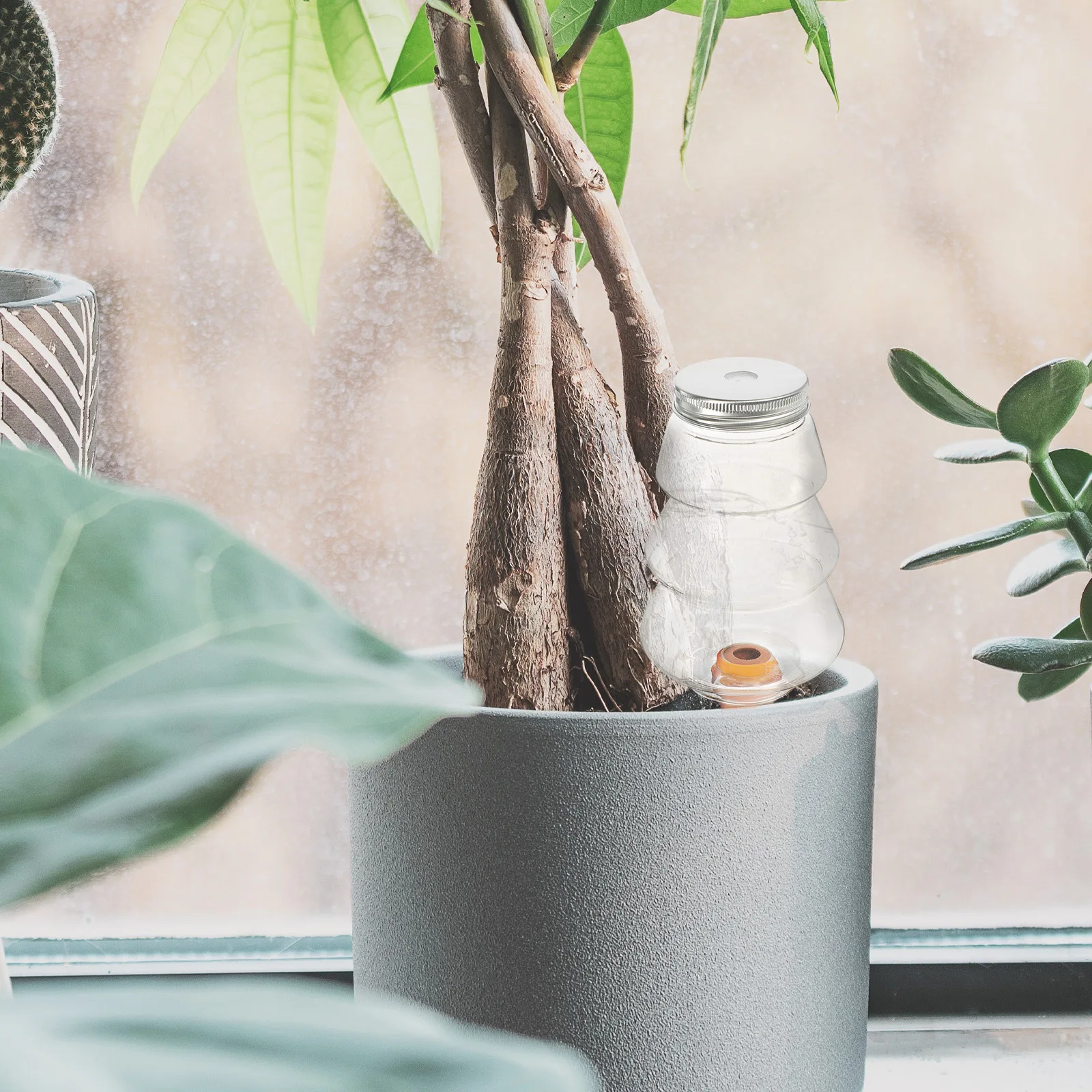 2 قطعة سقي النباتات التلقائي الأجهزة الذاتية الداخلية للنباتات بوعاء حديقة أداة شجرة عيد الميلاد شكل أداة سقي عصاري #4