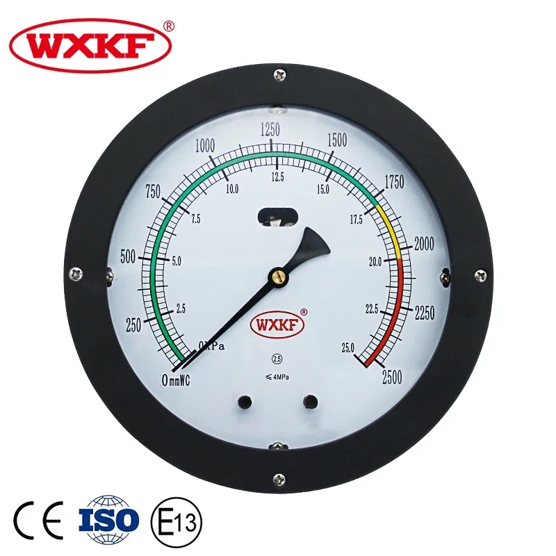 china made 100mm Differential pressure level gauge
