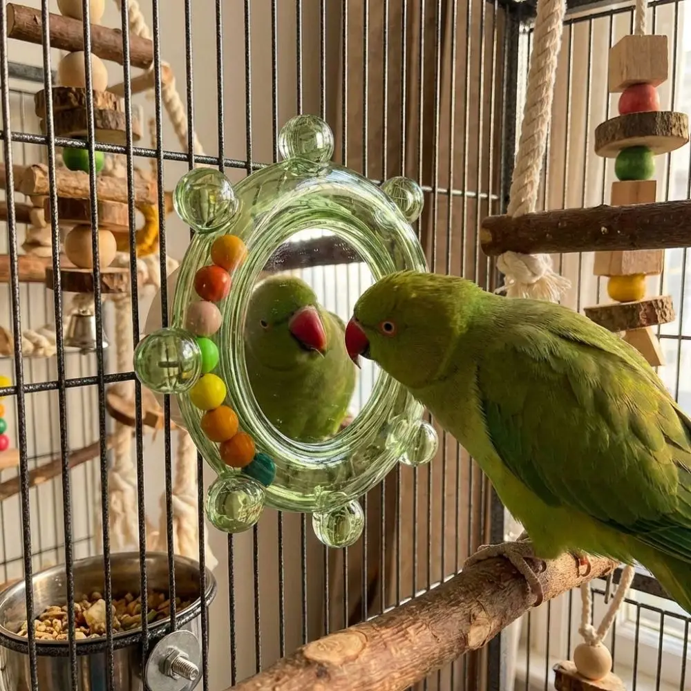 Colorful Ball Parro…