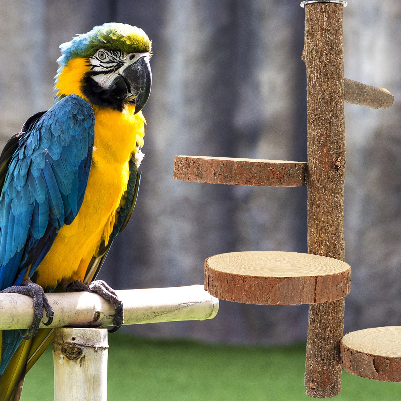 

Wooden Jumping Board Sturdy Structure Parrot St Home Climbing Delicate Birds Household Pet Chinchilla Biting