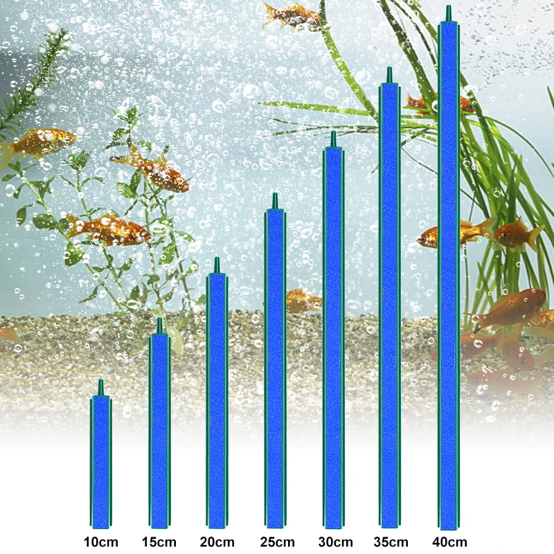 4/6/8/10/12/14/16/1…