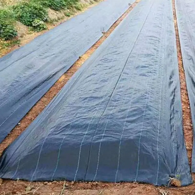 High-Quality PP UV-Proof Garden Weed Control Mat Anti-Grass Ground Cover Weed Barrier Fabric for Farm Greenhouse
