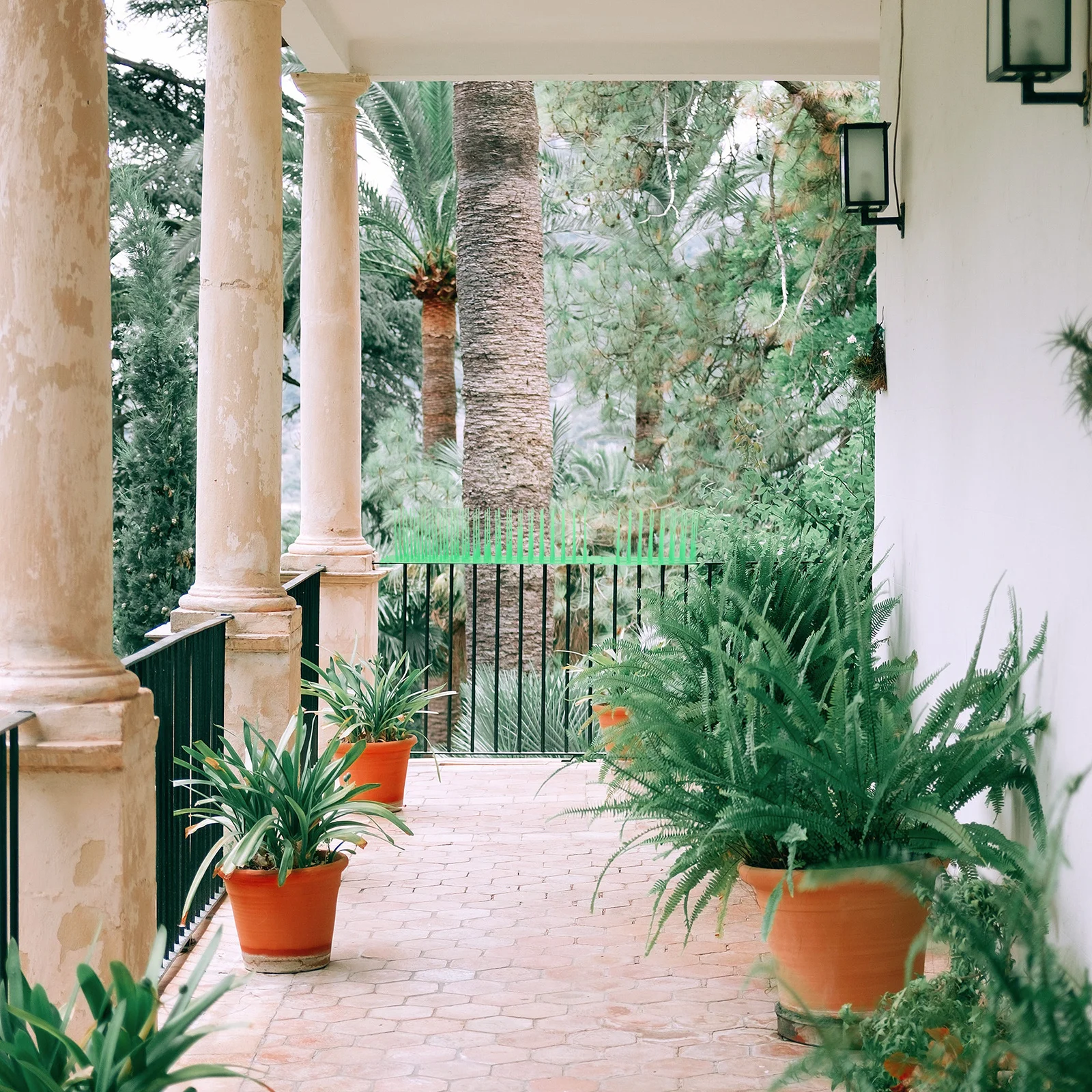 

2Pcs Anti Bird Spike Mat Black Plastic Cat Repellent Ground Barrier for Garden Balcony Outdoor Protection Spike Pad Deterrent