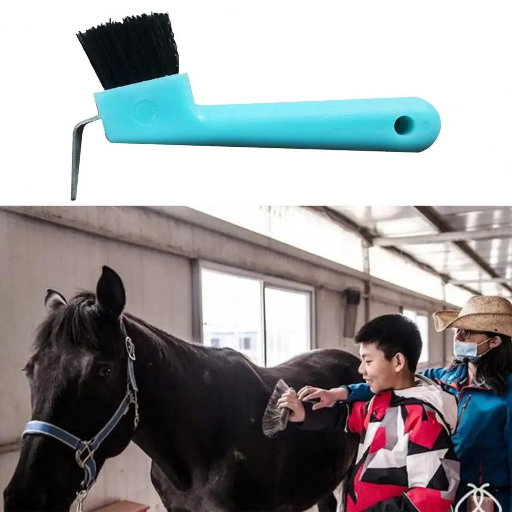 Brosse en fer à cheval en plastique pour toilettage professionnel, outil de sabot pour cheval, livres de soins équestres