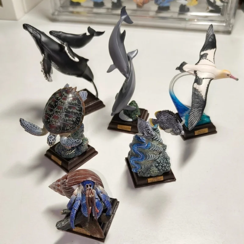 In Stock Kitan Ikim… - image