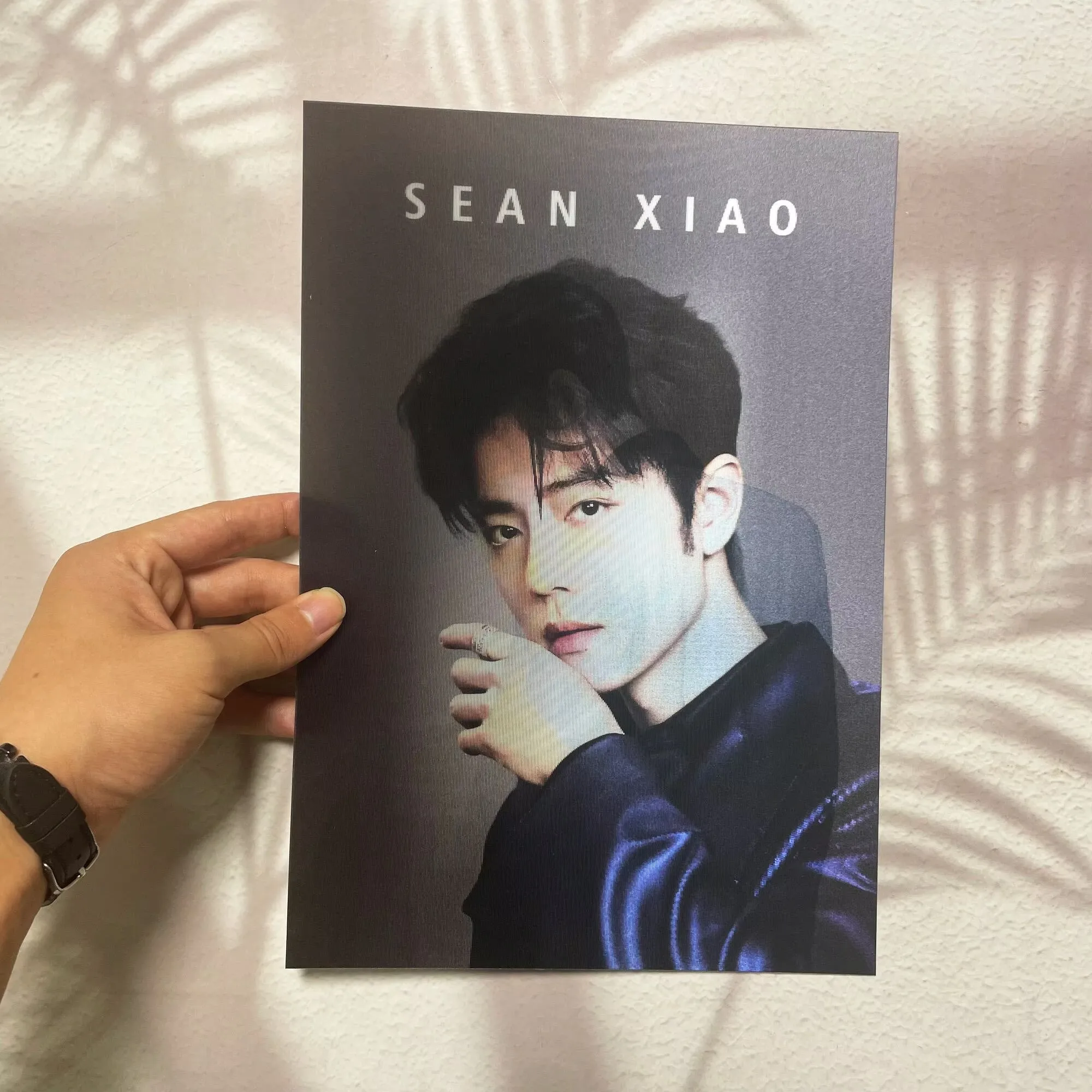 Xiao Zhan B version grating card, celebrity peripheral small card, postcard display, wall decoration, gift for friends