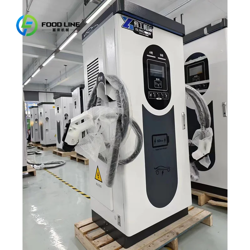 Customized Intelligent Touch Screen EV Car Charger Station Double Gun High Capacity DC Fast Charging Pile for Parking Charging