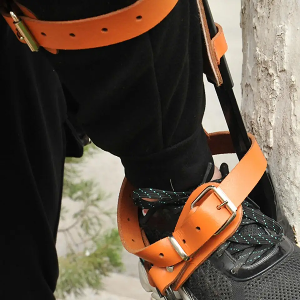 Grimper Aux Kit Équipement Escalade Arbres - Pointes Réglables 38-50cm, Gants, Ceintures - Pour Travail, Chasse, Cueillette Outils Arboricole Chasse