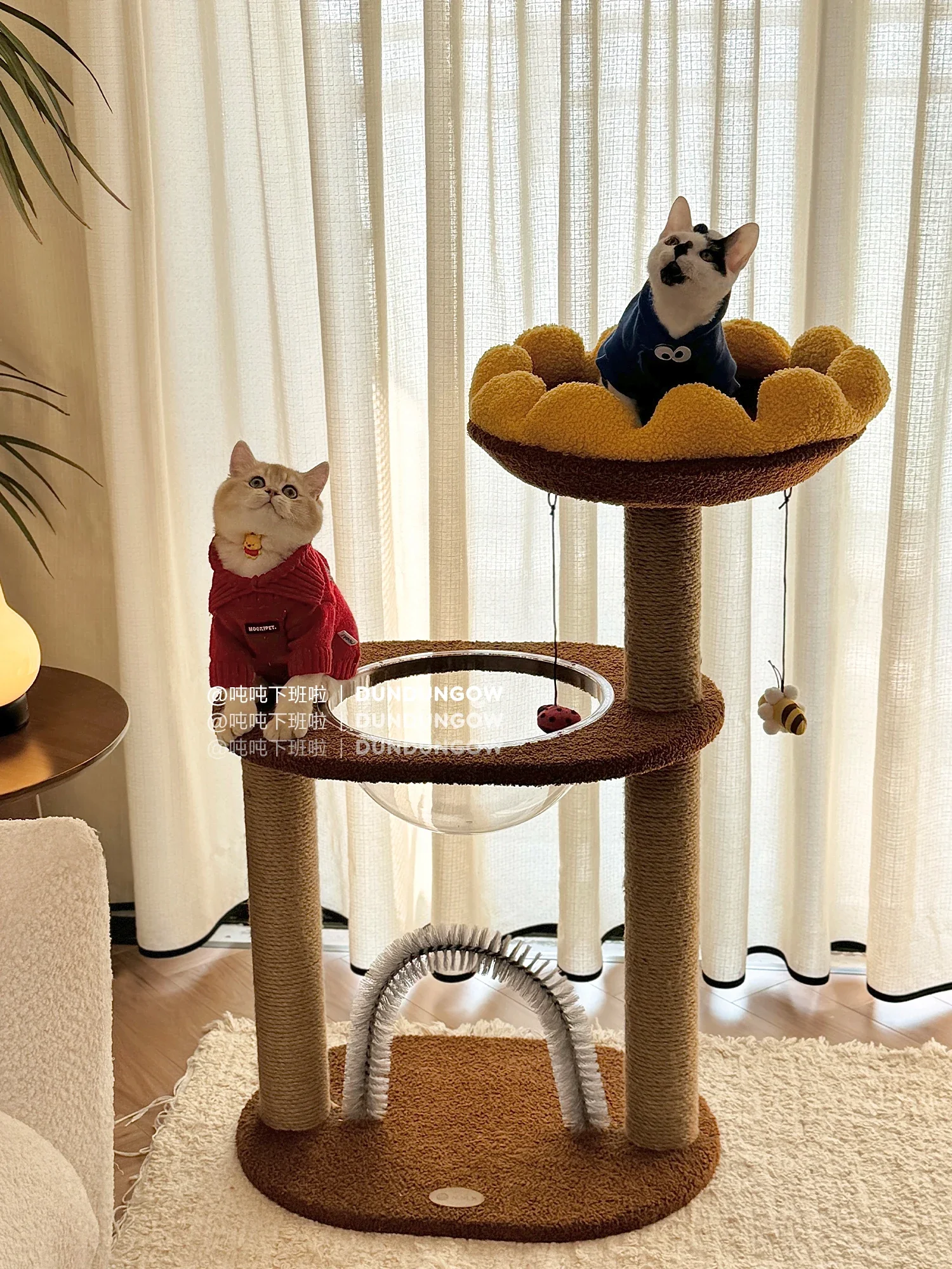 Integrated multifunctional sunflower cat climbing frame, wooden nest, cat tree, pet supplies