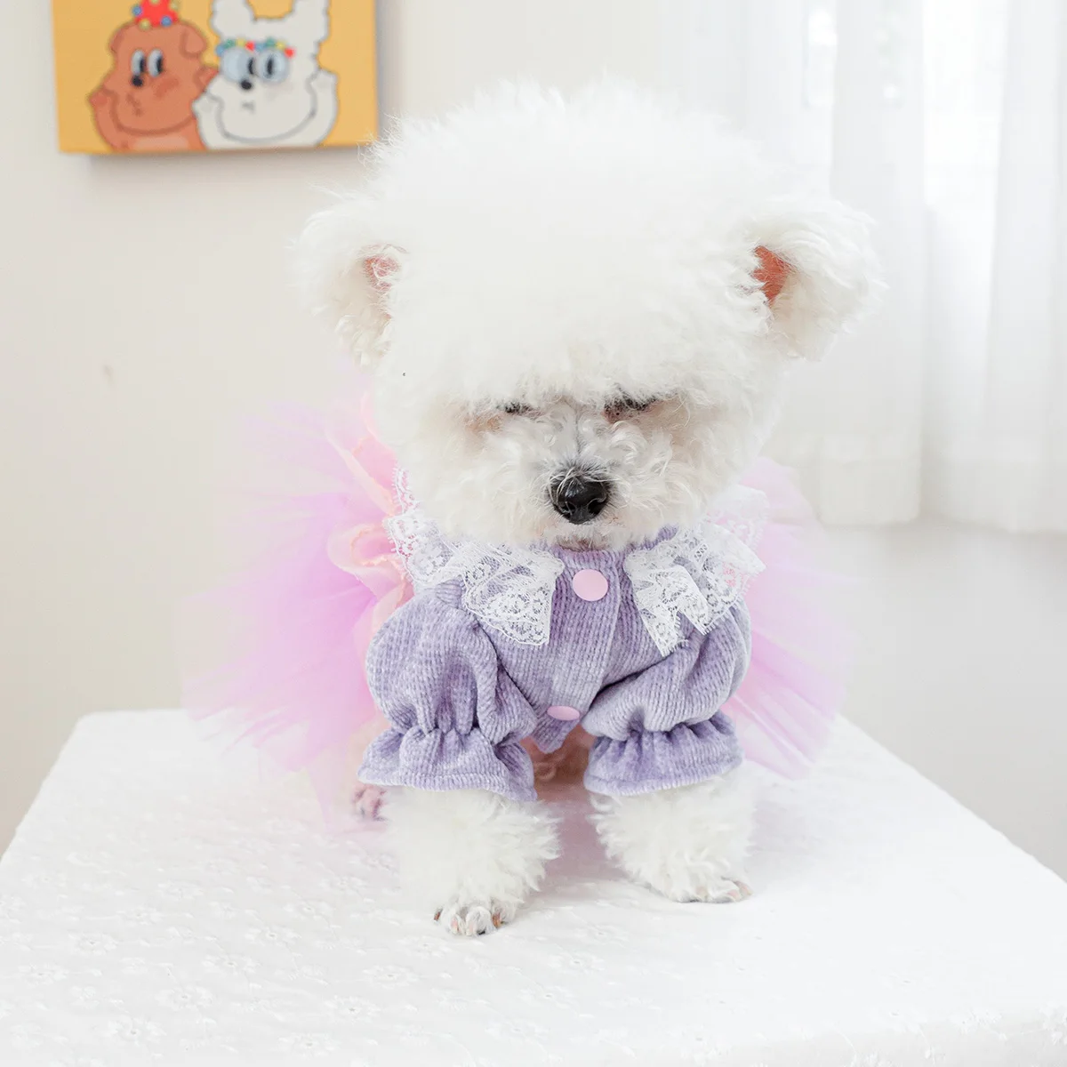 1PC Pet Clothing Spring and Autumn Purple Pepe Princess Wedding Dress Princess Dress Suitable for Small and Medium sized Dogs