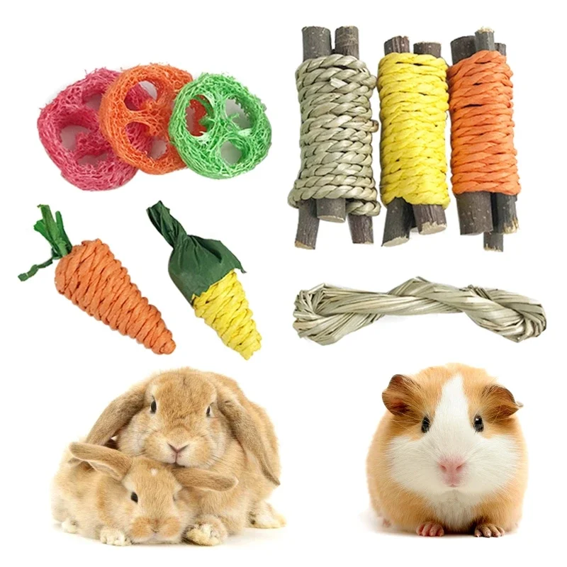 

9 PCS Bunny Chew Toys Hamster Toys for Guinea Pigs Rabbits Squirrels Gerbils Activity Toys Accessories Gift for Pet