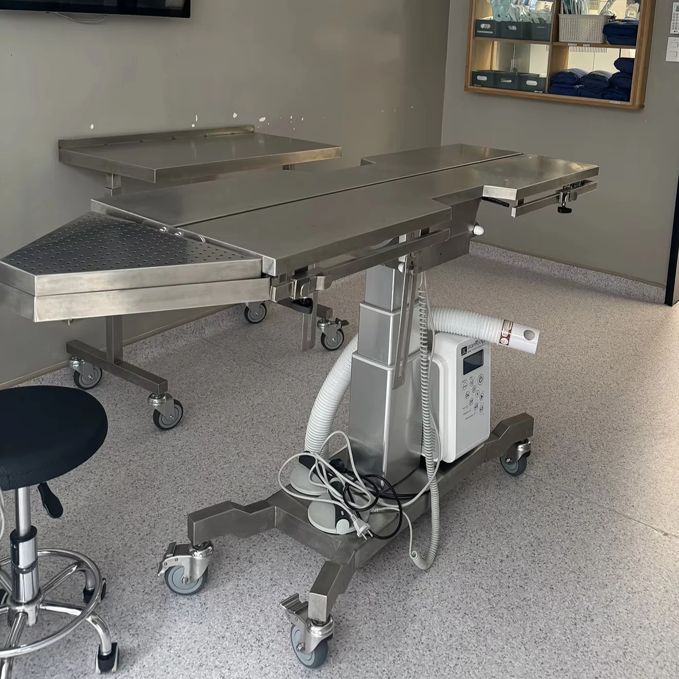 Pet Hospital Operation Table Dog Surgery Stainless Steel Veterinary Instrument Animal Operating Table